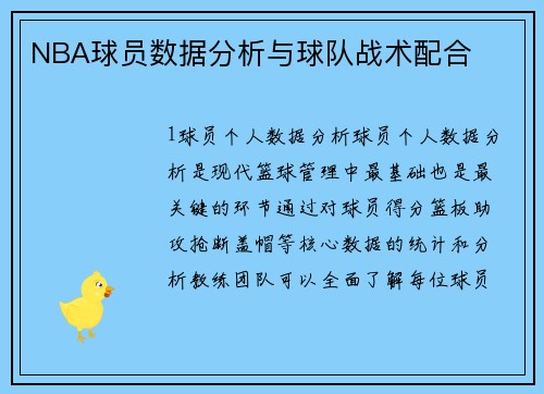 NBA球员数据分析与球队战术配合