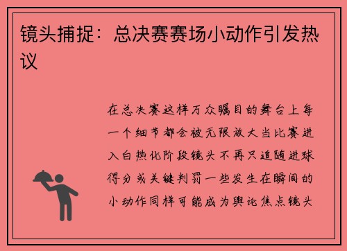 镜头捕捉：总决赛赛场小动作引发热议